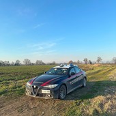 Contrasto dello spaccio nei campi: 5 denunciati e 2 misure cautelari nel Pavese