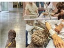 foto dalla pagina Facebook dell'Asst Nord Milano