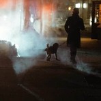 Magenta, cane folgorato da un palo elettrico durante la passeggiata: area isolata