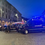 Pavia, controlli nel centro storico. In campo anche le unità cinofile