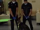 Milano: Max e Berla, i cani anti Covid dell’Arma dei Carabinieri all’ospedale Sacco
