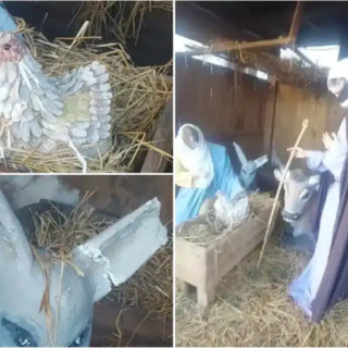 Cilavegna, vandalizzato il presepe in piazza: danneggiate le statue della Natività