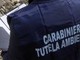 Operazione NOE. Traffico illecito di rifiuti e realizzazione di discariche abusive anche in Lombardia Operazione NOE. Traffico illecito di rifiuti e realizzazione di discariche abusive anche in Lombardia