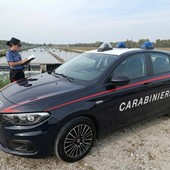Gravellona, i Carabinieri individuano i responsabili di un maxi furto di storioni. Denunciate cinque persone