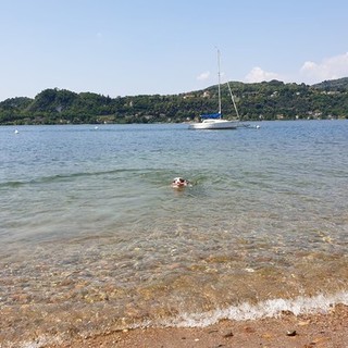 Forse è questa l'unica soluzione: chi può, dovrebbe farsi un bagno come Spritz