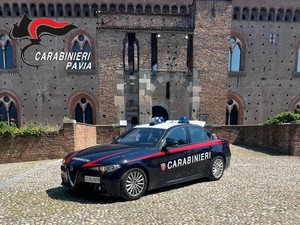 Pavia, sorpreso dai Carabinieri mentre ruba in una cantina. Arrestato Pavia, sorpreso dai Carabinieri mentre ruba in una cantina. Arrestato