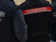 Vigevano, i carabinieri scoprono una pensione per cani abusiva: scatta il sequestro e 3mila euro di multa