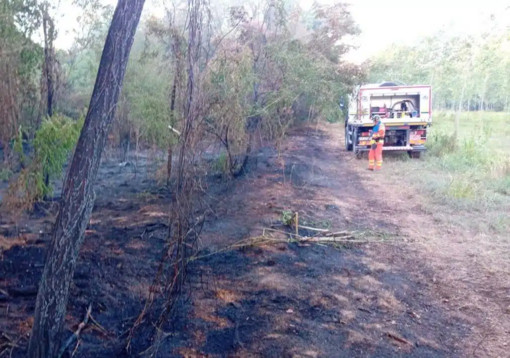 Vigevano, incendio nell’area della Buccella: fiamme domate grazie al rapido intervento dei volontari AIB del Parco Ticino Vigevano, incendio nell’area della Buccella: fiamme domate grazie al rapido intervento dei volontari AIB del Parco Ticino
