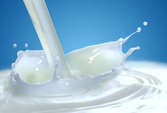 Latte, Coldiretti: con ok antitrust adeguare prezzi riconosciuti alla stalla