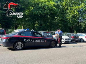Vigevano, lite Parco Parri: i Carabinieri denunciano un 22enne Vigevano, lite Parco Parri: i Carabinieri denunciano un 22enne
