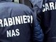 Controlli ad Abbiategrasso di Carabinieri e Nas: 50 identificati, 3 denunciati, 2 pub sanzionati