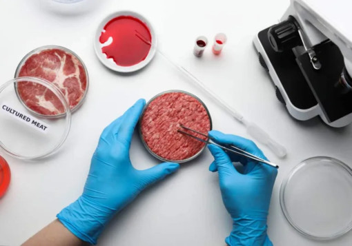 Coldiretti Censis: 7 italiani su 10 NON vogliono carne coltivata Coldiretti Censis: 7 italiani su 10 NON vogliono carne coltivata