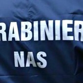 Pavia, irregolarità in due ristoranti: attività sospesa e sanzioni da 65mila euro