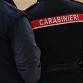 Vigevano, i carabinieri scoprono una pensione per cani abusiva: scatta il sequestro e 3mila euro di multa