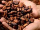 Il mio mondo #ecobio- Pasqua, cioccolato e dintorni, di Cristina Garavaglia