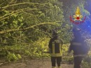 Maltempo nel Pavese: Vigili del Fuoco in azione sin dalle prime luci dell’alba Maltempo nel Pavese: Vigili del Fuoco in azione sin dalle prime luci dell’alba