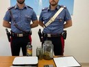 Vigevano: sorpreso con oltre 6 etti di stupefacenti e 180 euro in contanti, arrestato un 34enne
