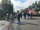 Vigevano: albero cade in corso Genova, chiuso un tratto di strada