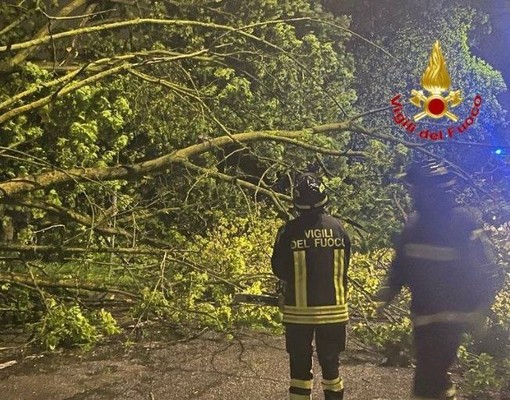 Maltempo nel Pavese: Vigili del Fuoco in azione sin dalle prime luci dell’alba