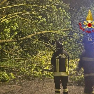 Maltempo nel Pavese: Vigili del Fuoco in azione sin dalle prime luci dell’alba