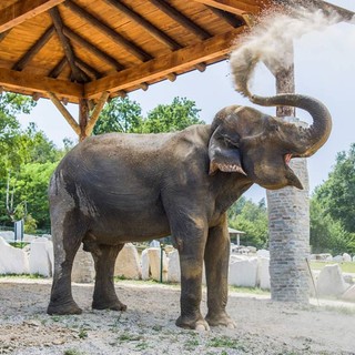 Grandi appuntamenti, iniziative e novità: il programma autunnale del Safari Park Lago Maggiore
