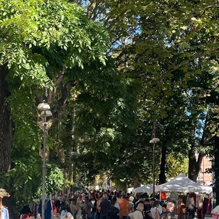 Pavia, una domenica speciale: il 17 maggio torna la combo Mercatino del ri-uso e per bambini e ragazzi