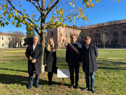 L’albero dei ricordi della Bulgaria a Vigevano L’albero dei ricordi della Bulgaria a Vigevano