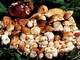 Funghi, già 58 intossicazioni nel 2019. La Regione: ‘Controllare è importante’ Funghi, già 58 intossicazioni nel 2019. La Regione: ‘Controllare è importante’