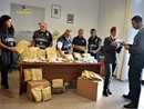 Commercio illecito di farmaci e sostanze dopanti tra Italia e Svizzera: nove condannati. Indagini anche in provincia di Pavia