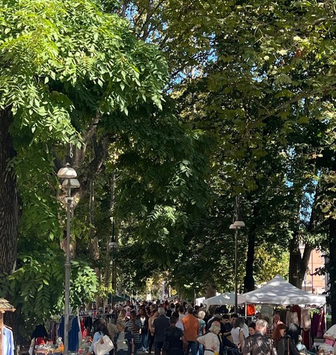 Pavia, nuovo appuntamento con il mercatino del ri-uso nuova vita alle cose e una novità: il mercato dei bambini