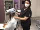 Sannazzaro: la parrucchiera Enza Biasella offre un taglio di capelli agli operatori sanitari impegnati nella lotta al Covid Sannazzaro: la parrucchiera Enza Biasella offre un taglio di capelli agli operatori sanitari impegnati nella lotta al Covid