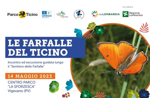 Domenica 14 le farfalle del Ticino...alla Sforzesca di Vigevano