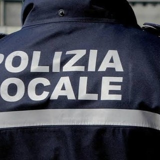 Vigevano: polizia locale, controllo in strada: sequestrata sostanza stupefacente. Ritirata la patente