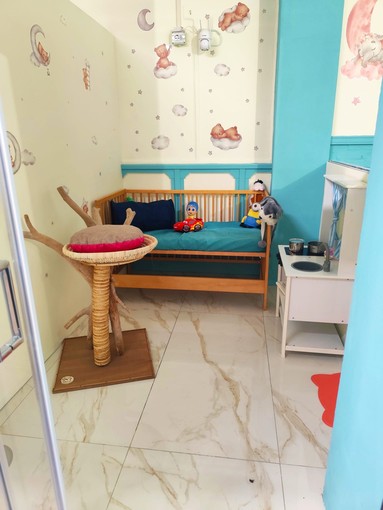 Vigevano, apre l'hotel per gatti &quot;Casale Dolce Così 2.0&quot;. Sarà gratuito per gli amici a quattro zampe di persone ricoverate in ospedale
