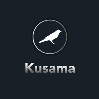 Perché scoprire Kusama Crypto? Semplicemente perché conviene!