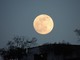Spettacolo nel cielo di questa sera: arriva la Luna Piena del Castoro