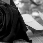 Magenta dice addio a Gigi Cereda cronista amante del nostro territorio Magenta dice addio a Gigi Cereda cronista amante del nostro territorio