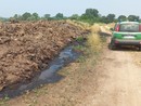Controlli nel Parco del Ticino dei carabinieri forestali di Magenta: multate sei aziende agricole Controlli nel Parco del Ticino dei carabinieri forestali di Magenta: multate sei aziende agricole