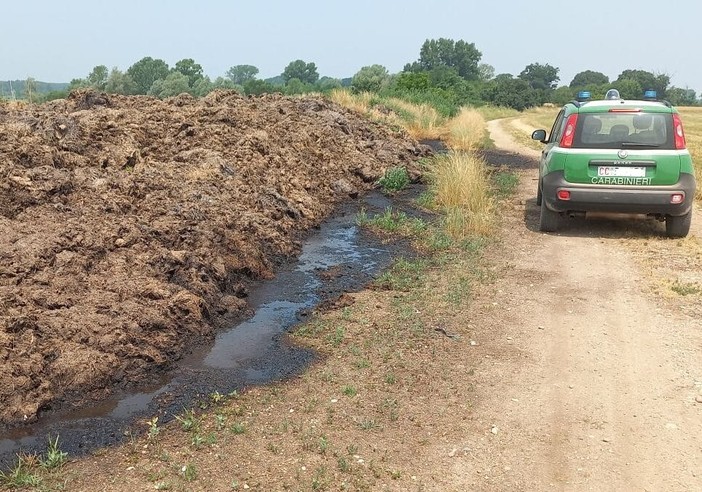 Controlli nel Parco del Ticino dei carabinieri forestali di Magenta: multate sei aziende agricole