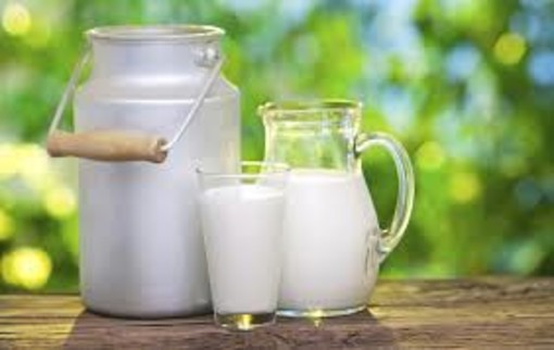 Prezzi: Coldiretti, con speculazioni latte crack per 26mila stalle