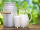 Latte, industria abbassa prezzo alla stalla Latte, industria abbassa prezzo alla stalla