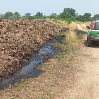 Controlli nel Parco del Ticino dei carabinieri forestali di Magenta: multate sei aziende agricole