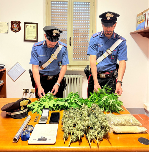 Candia, scoperta serra di marijuana in casa, denunciato un 51enne