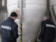 Topo morto nel silos del risone Topo morto nel silos del risone