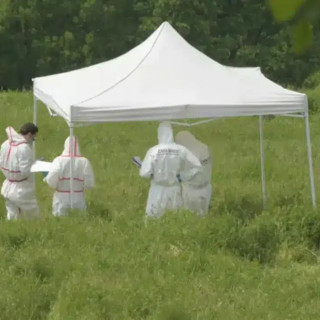 Giovane trovata morta in un campo a Cecima, disposta autopsia