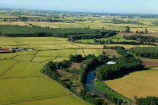 LOMELLINA AMBIENTE - Il Torrente Agogna LOMELLINA AMBIENTE - Il Torrente Agogna