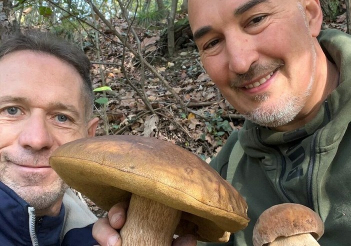 Castelletto di Cuggiono: porcini da record nei boschi della zona Castelletto di Cuggiono: porcini da record nei boschi della zona