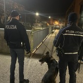 Servizio straordinario di controllo del territorio in centro a Pavia: sequestrata una dose di hashish e denunciata una persona in possesso di un martelletto frangivetro