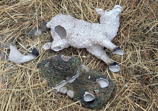 Magenta, festività pre natalizie all’insegna dei vandali: danni al presepe, distributori presi a calci e fuochi notturni