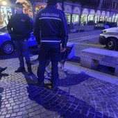 Sicurezza in provincia: in settimana due operazioni di controllo straordinario a Pavia e Vigevano. Rafforzati i presidi nelle aree sensibili e nei luoghi della movida